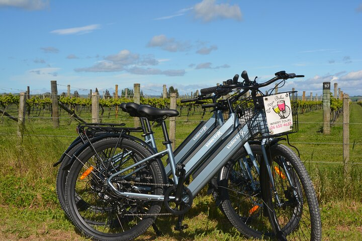 Hawkes Bay Wineries Self-Guided Electric Bike Tour - Photo 1 of 6